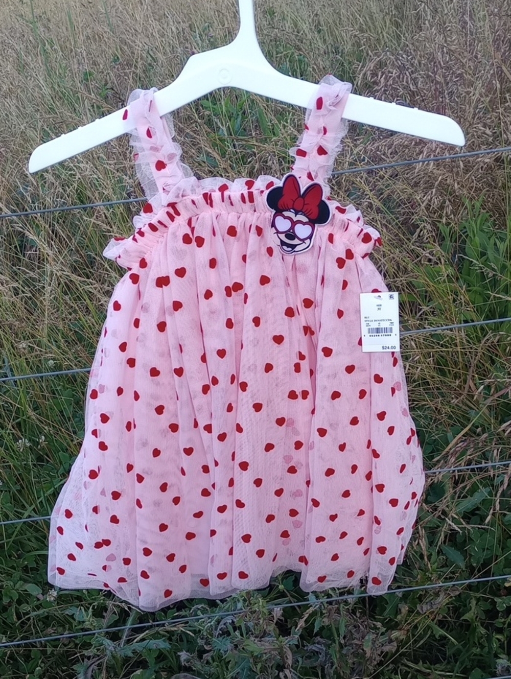NWT Disney Minnie Mouse 3T Lined Pink Tulle Dress with Red Heart Print